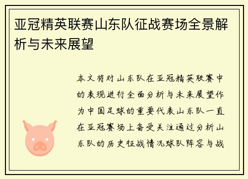亚冠精英联赛山东队征战赛场全景解析与未来展望 亚冠精英联赛山东队征战赛场全景解析与未来展望